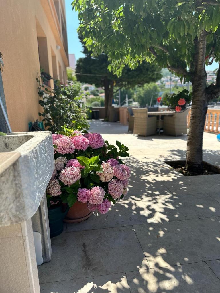 Apartmani Suzana Кленовица Екстериор снимка